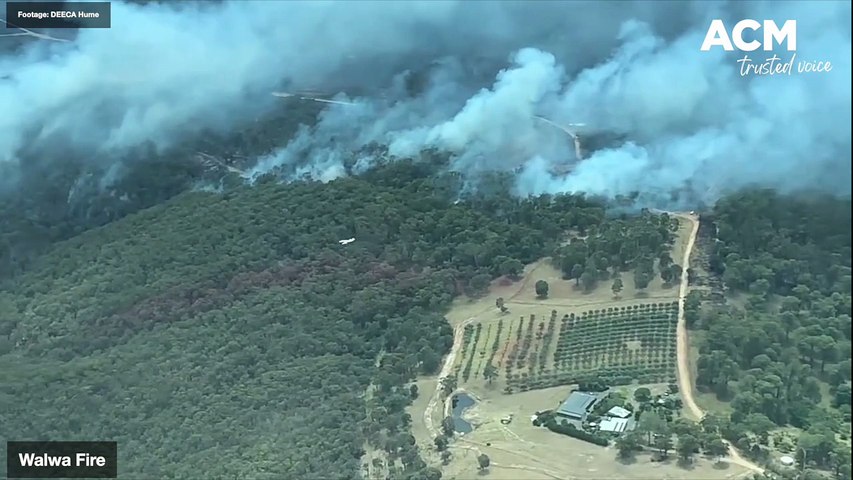 C-130 Hercules dumps retardant on the Upper Murray fire. Footage: DEECA Hume