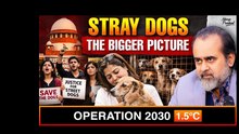 Stray Dogs Issue: Who Are We Punishing? || Acharya Prashant (2025)