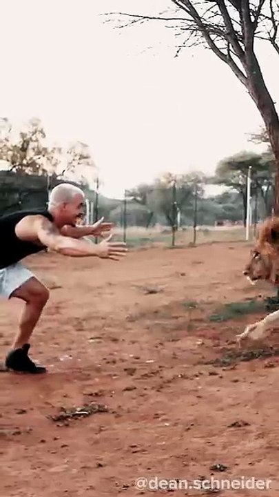 Lion_Jump
