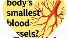 Latest General knowledge smalles blood vessels in human body