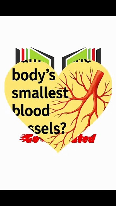 Latest General knowledge smalles blood vessels in human body