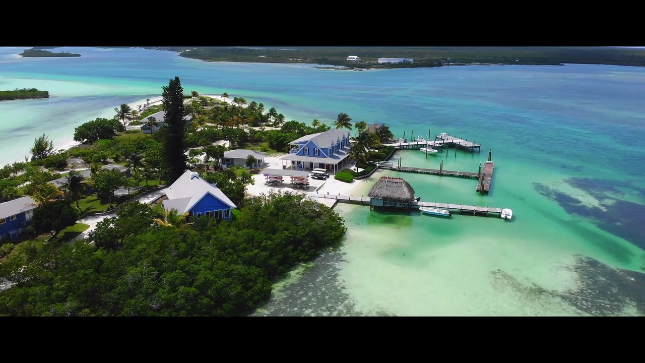 Dolphin Summer - Saving Bimini (2025) - Trailer