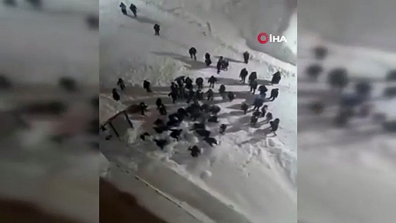 Hakkâri’de çatıdan düşen kar kütlesinin altında kalan öğrenci yaralandı