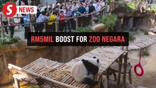 PM announces RM5mil allocation for Zoo Negara