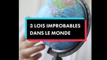 Des lois bizarres dans le monde