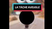 La tâche aveugle