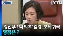 ’강선우 1억 의혹’ 김경, 모레 귀국...쟁점은? / YTN