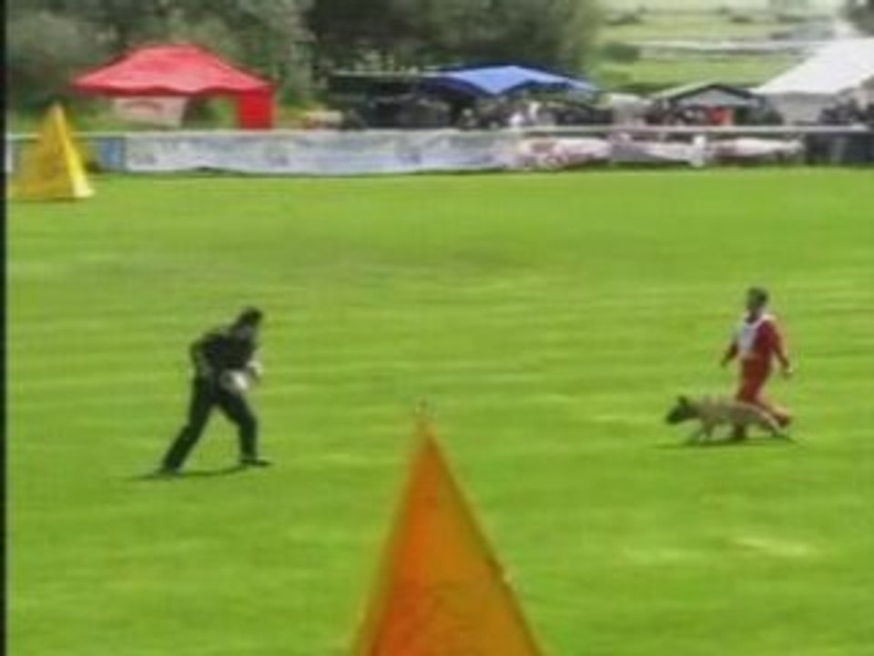 FMBB-2007-Yamaguchi/Carlos