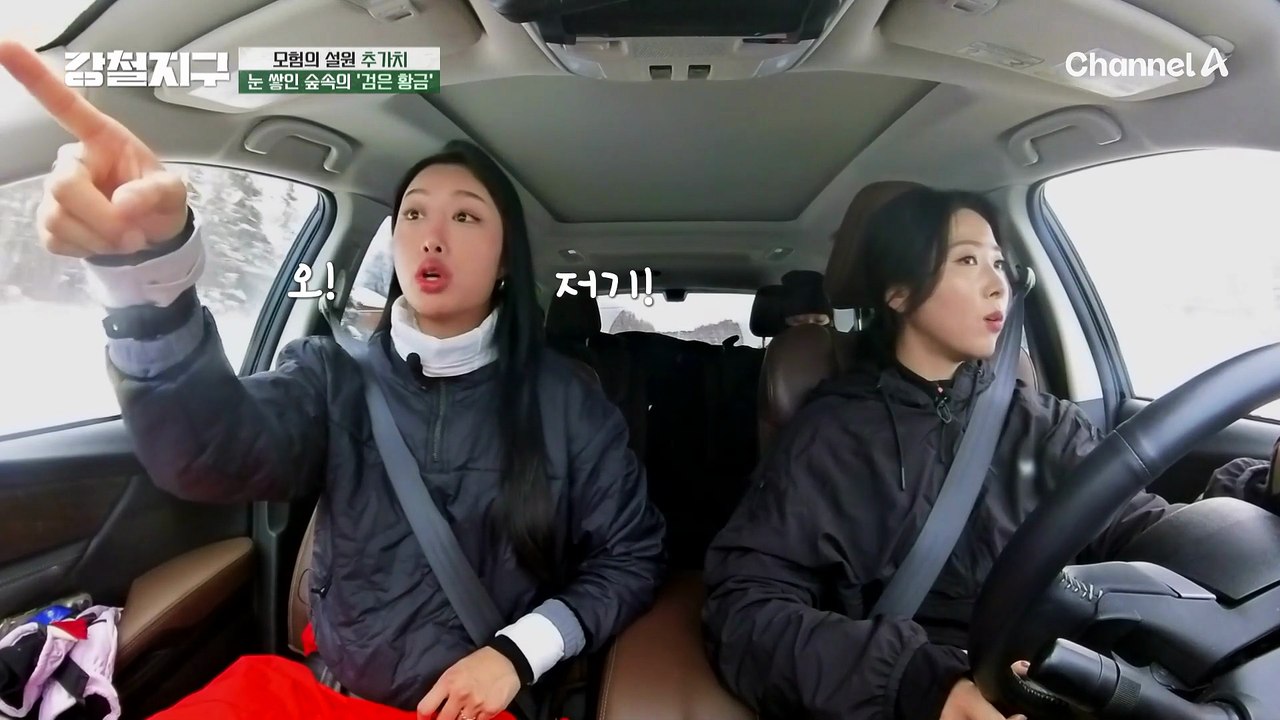 알래스카에 숨은 '검은 황금'이 있다?! 눈 쌓인 숲속의 '검은 황금' 찾기