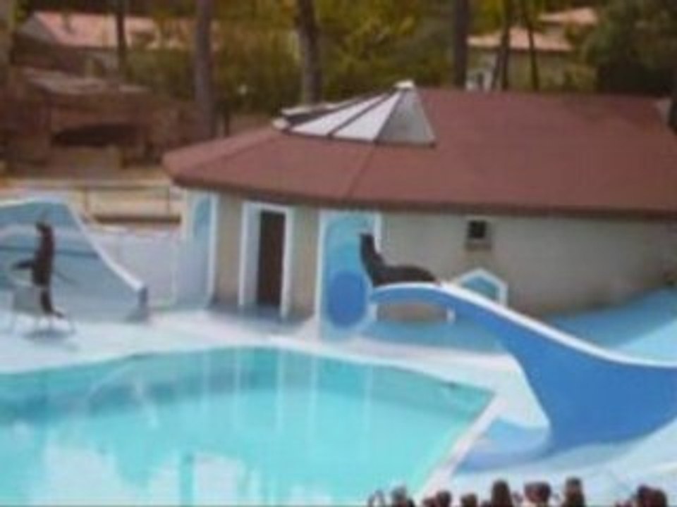 Zoo Oiseau
