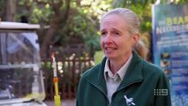 taronga whos who in the zoo s06e09