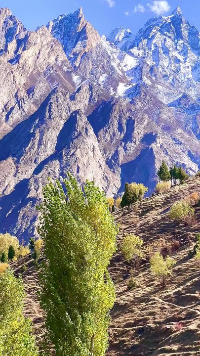 my village