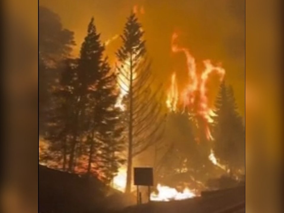 Flammenhölle: Heftige Waldbrände verwüsten Argentinien