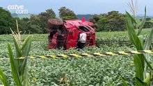 Motorista morre em grave acidente na PR-180 em Cascavel