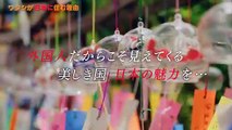 ワタシが日本に住む理由 2026年日1月10日 東欧ワインの国から来た天使！大使館に出入り自由？