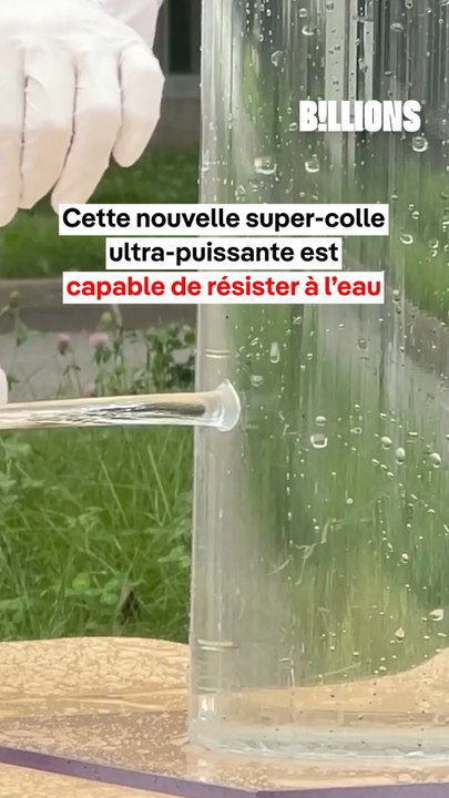 🤯 Cette super-colle résiste à l’eau ⁉️
