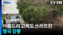 아름드리 고목도 쓰러뜨린 영국 강풍...정전·교통 차질 속출 / YTN