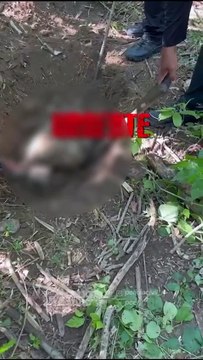 Vídeo: Corpos são encontrados pela polícia em cemitério clandestino