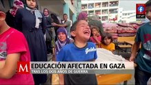 Estudio de Cambridge revela el impacto del conflicto en Palestina en la educación