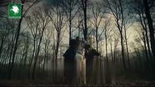 Kurlus orhan episode 10 trailer 2