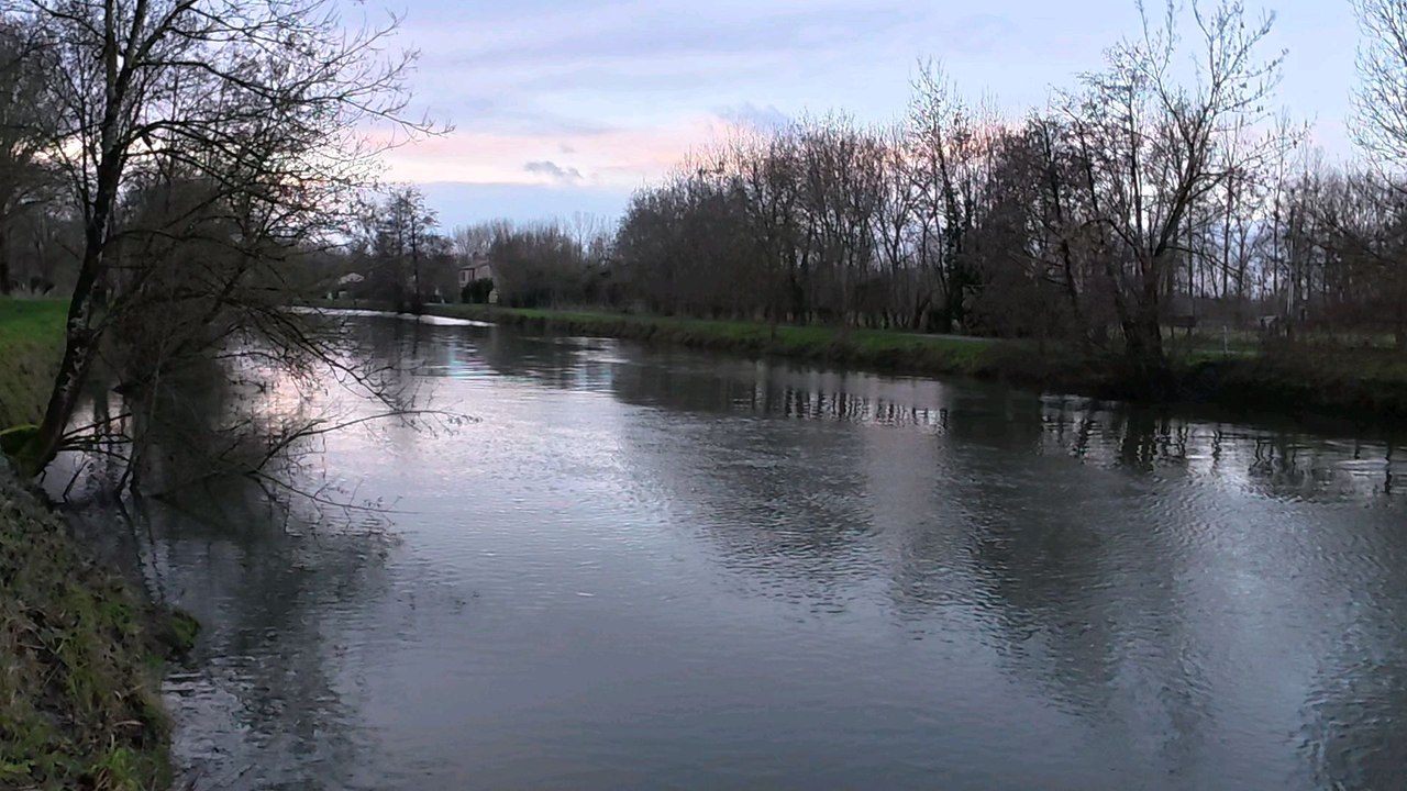 Le marée poitevin  le Mazeau  le 090126