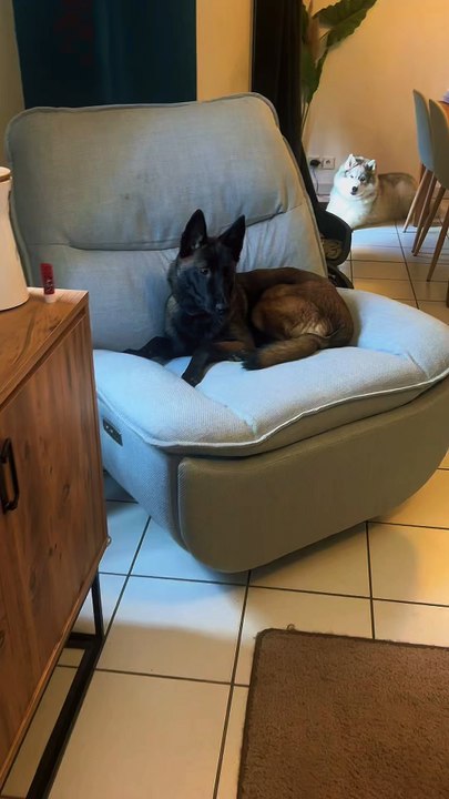 C’est faisable mais il faut de l’organisation clairement !