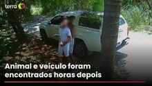 Idoso é agredido e tem carro com cachorro dentro levado por criminosos em Peruíbe (SP)