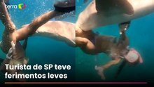 Vídeo mostra o momento em que advogada é mordida por tubarão em Fernando de Noronha