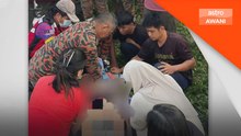 Kanak-kanak lemas, panduan CPR diberi melalui panggilan video