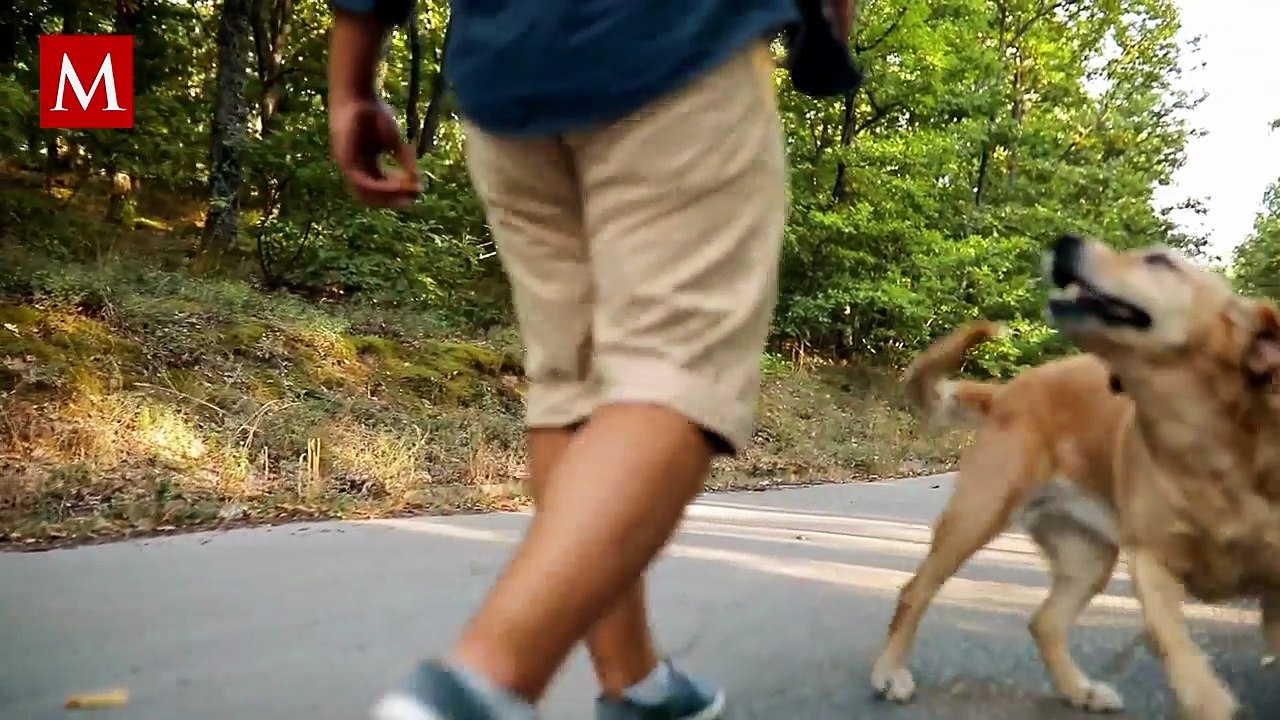 Hombre se lanza a lago congelado para salvar a su perro... y cae al agua