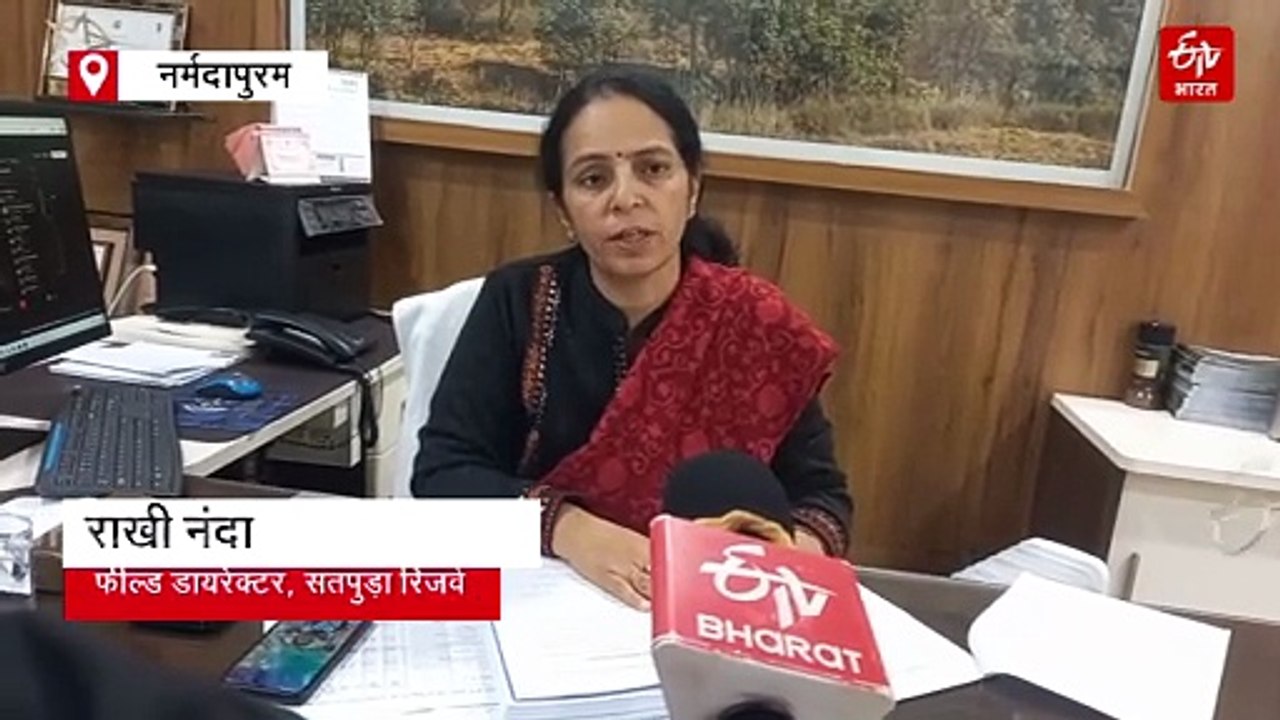 बांधवगढ़ के जंगलों में दौड़ेंगे सतपुड़ा के 27 बायसन, टाइगर रिजर्व ने पूरी की तैयारियां
