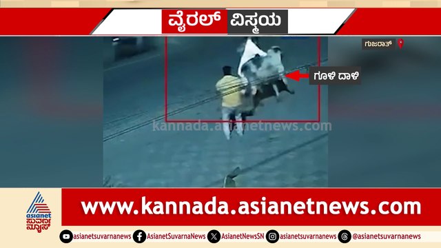 ದೇವಸ್ಥಾನಕ್ಕೆ ಬಂದ ದಂಪತಿ ಮೇಲೆ ಗೂಳಿ ಕಣ್ಣು..! ಮಹಿಳೆಯನ್ನ ತಿವಿದು ಗುದ್ದಿ ಕೆಡವಿ ಭೀಕರ ಅಟ್ಯಾಕ್