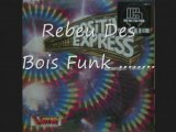 Rebeu Des Bois - Positive Express - do me -1982