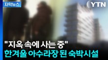 [자막뉴스] 노후 위해 '수억 원' 부었는데...억장 무너지는 현장 / YTN