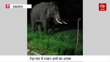रामनगर टेड़ा गांव में टस्कर हाथी का आतंक, खेतों में घुसने से ग्रामीणों में दहशत