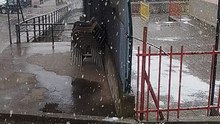 Sneg 2026 januari Podgorci Struga