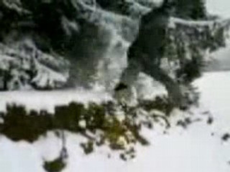 Cascades