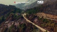 Argentina: Incêndio florestal queima mais de 5 500 hectares na Patagónia