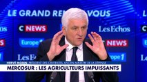 «Le Mercosur ne peut pas être bon pour l’économie française quand il est inacceptable pour ceux qui produisent», affirme Hervé Morin