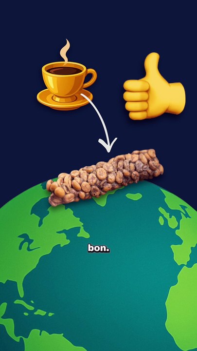 Le café le plus cher vient d'une crotte ! #cafe #caca #animaux #nature #humour