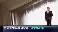 천식·비염 유발 곰팡이…예방하려면 어떻게?