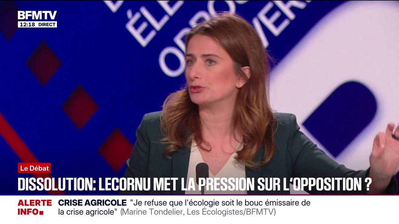 Budget 2026: "Ce budget comporte beaucoup de choses horribles sur le plan environnemental et sur le plan social", affirme Marine Tondelier (Les Écologistes)