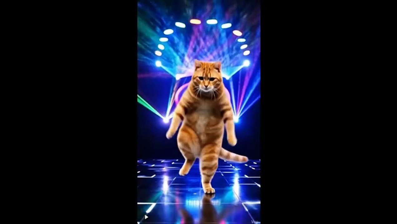 cat floor smasher BIG CAT DJ