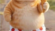 🍦 When a Cat Enjoys Ice Cream Too Much 😻