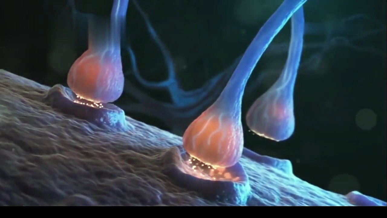 The Unsolved Mysteries of the Human Body