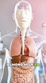 What Almond 🥛 Milk Really Does Inside Your Body 🧠 #shorts #health #almond