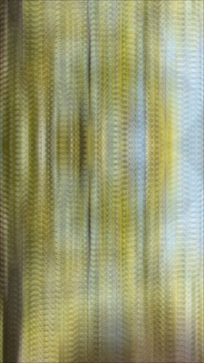 Le vulcain c'est un de mes papillons favoris alors quand je suis tombé sur un de ces papillons qui volait de façon étrange en l'attarapant la surprise était de taille !