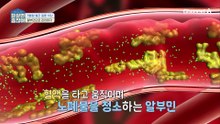 생명과 직결된 생존 단백질 '알부민' 내 몸에서 역할은?