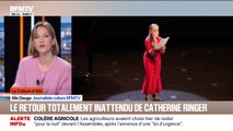 Le retour totalement inattendu de Catherine Ringer - 14/01