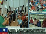 Agricultores y productores de Aragua escogen sus voceros municipales para los Consejos Campesinos